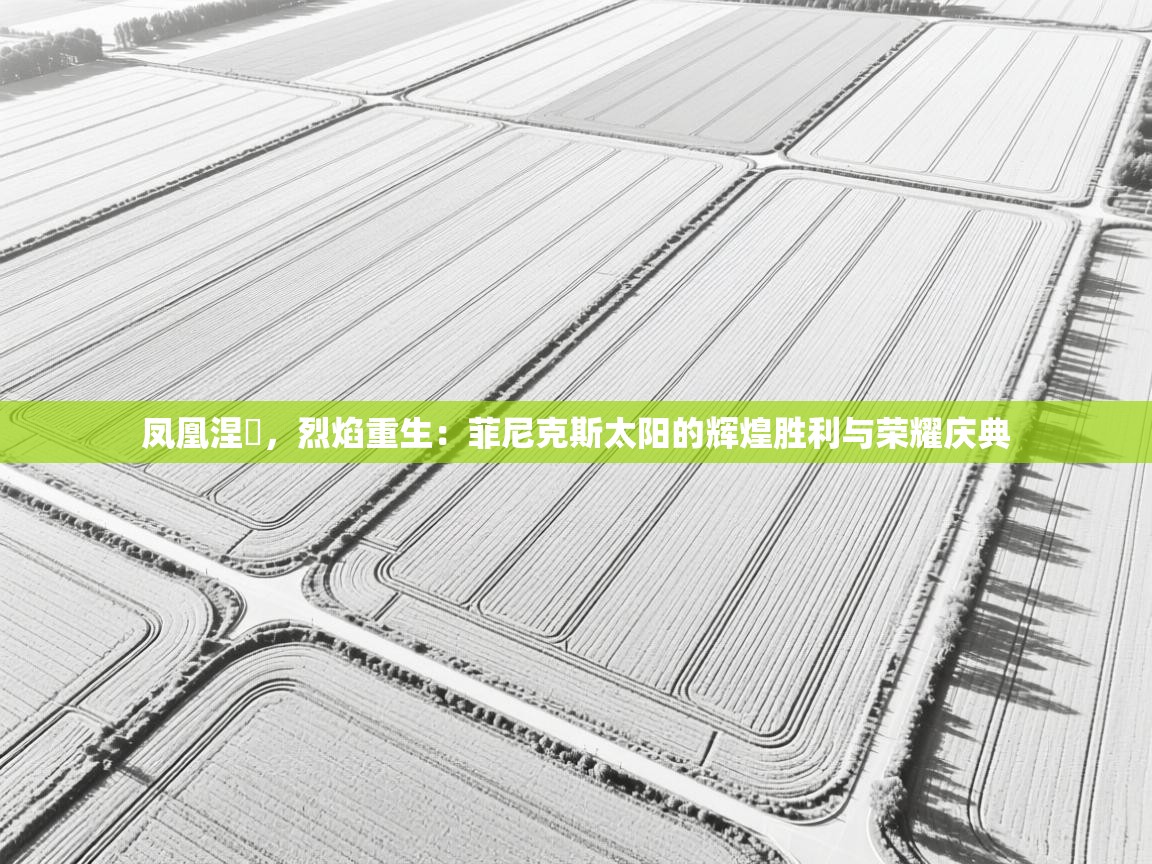 凤凰涅槃，烈焰重生：菲尼克斯太阳的辉煌胜利与荣耀庆典  第2张