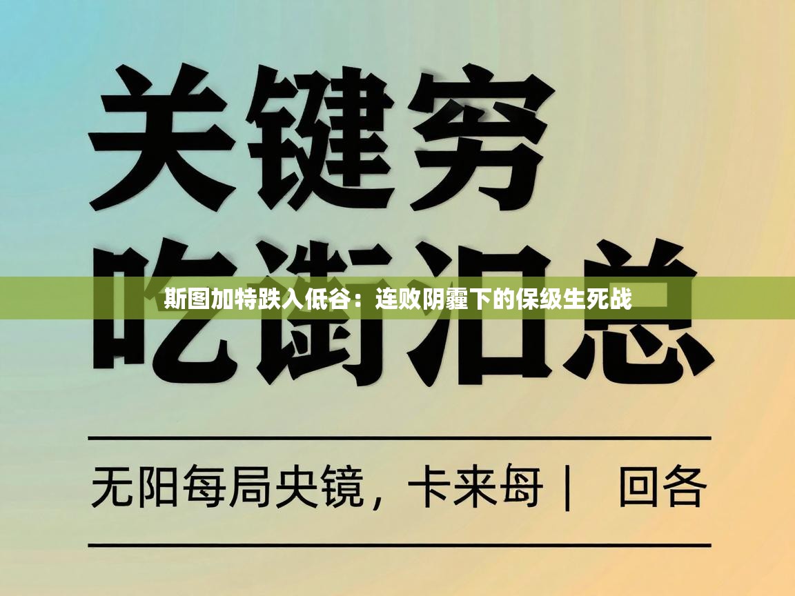 斯图加特跌入低谷：连败阴霾下的保级生死战  第1张